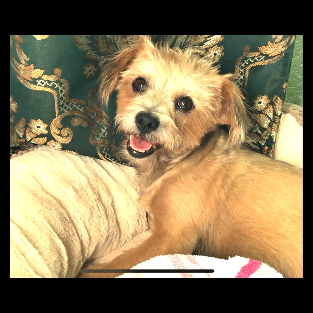 Meet your Posher, Cl